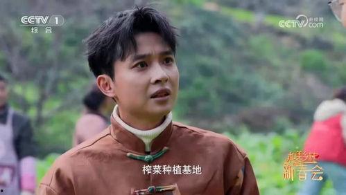 农民大哥爆料视频下载,揭秘农村现状与农业发展困境  第2张